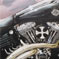 Harley-Illustration · Detail